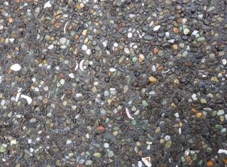 Exposed Seaside 