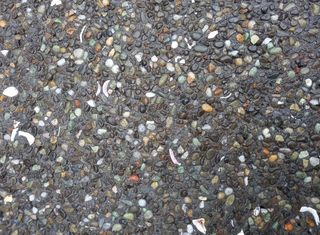 Exposed Aggregate Pavers