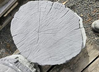 400mm
